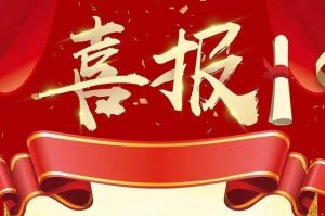 关于2022年度人力资源服务评选结果的通报，祝贺华体会体育(中国)HTH·官方网站集团