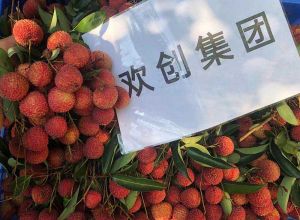 夏日好“枝”味，华体会体育(中国)HTH·官方网站集团发福“荔”啦