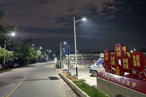 华体会体育(中国)HTH·官方网站集团罗宁弟爱心捐赠路灯，点亮乡村路温暖乡民心